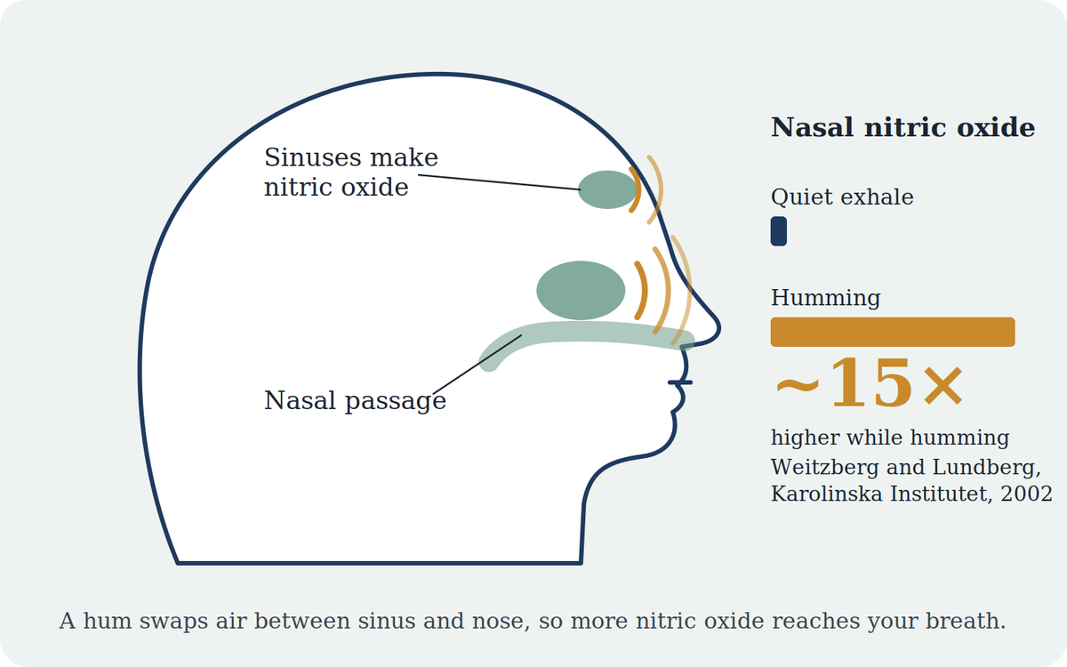 Your Body Makes Nitric Oxide. So What Does a Nitric Oxide Nasal Spray Add?